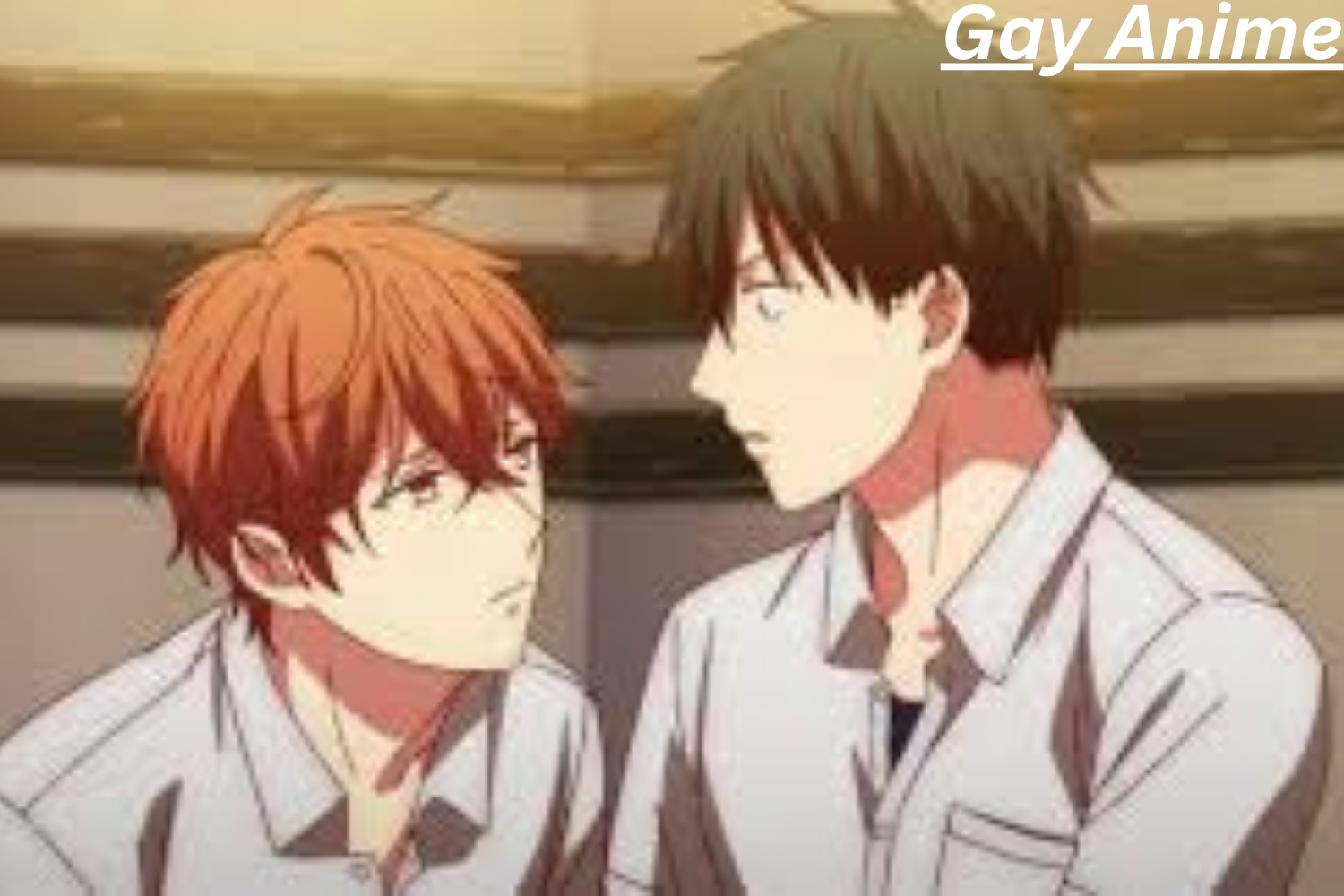 Gay Anime