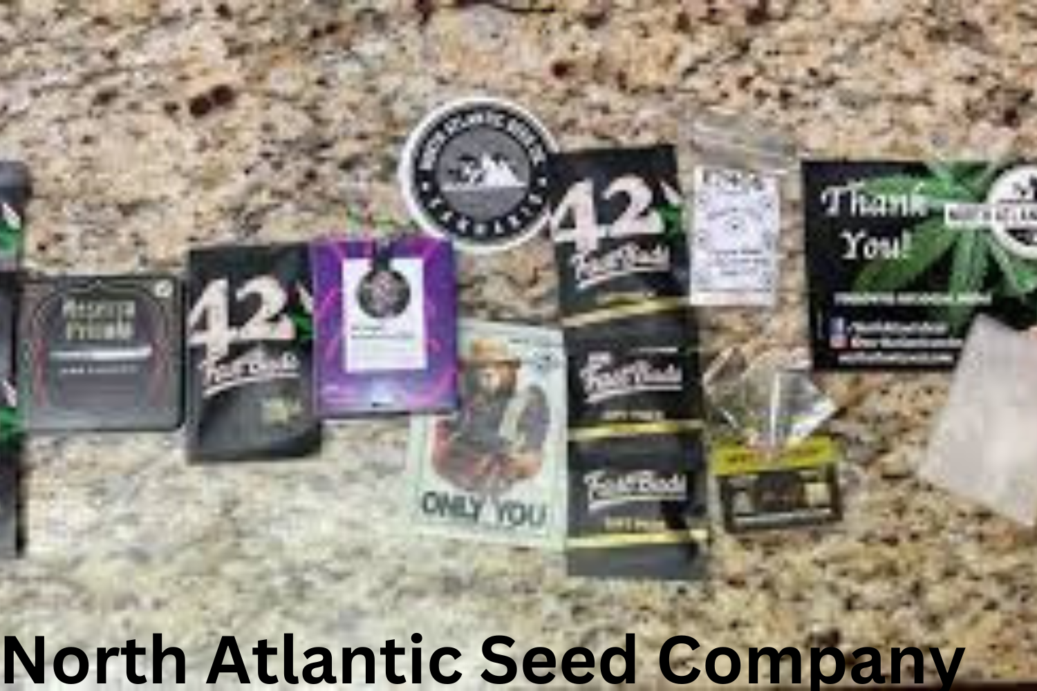 north atlantic seed company